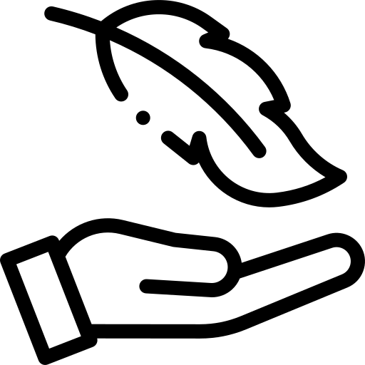 Faster Application Icon